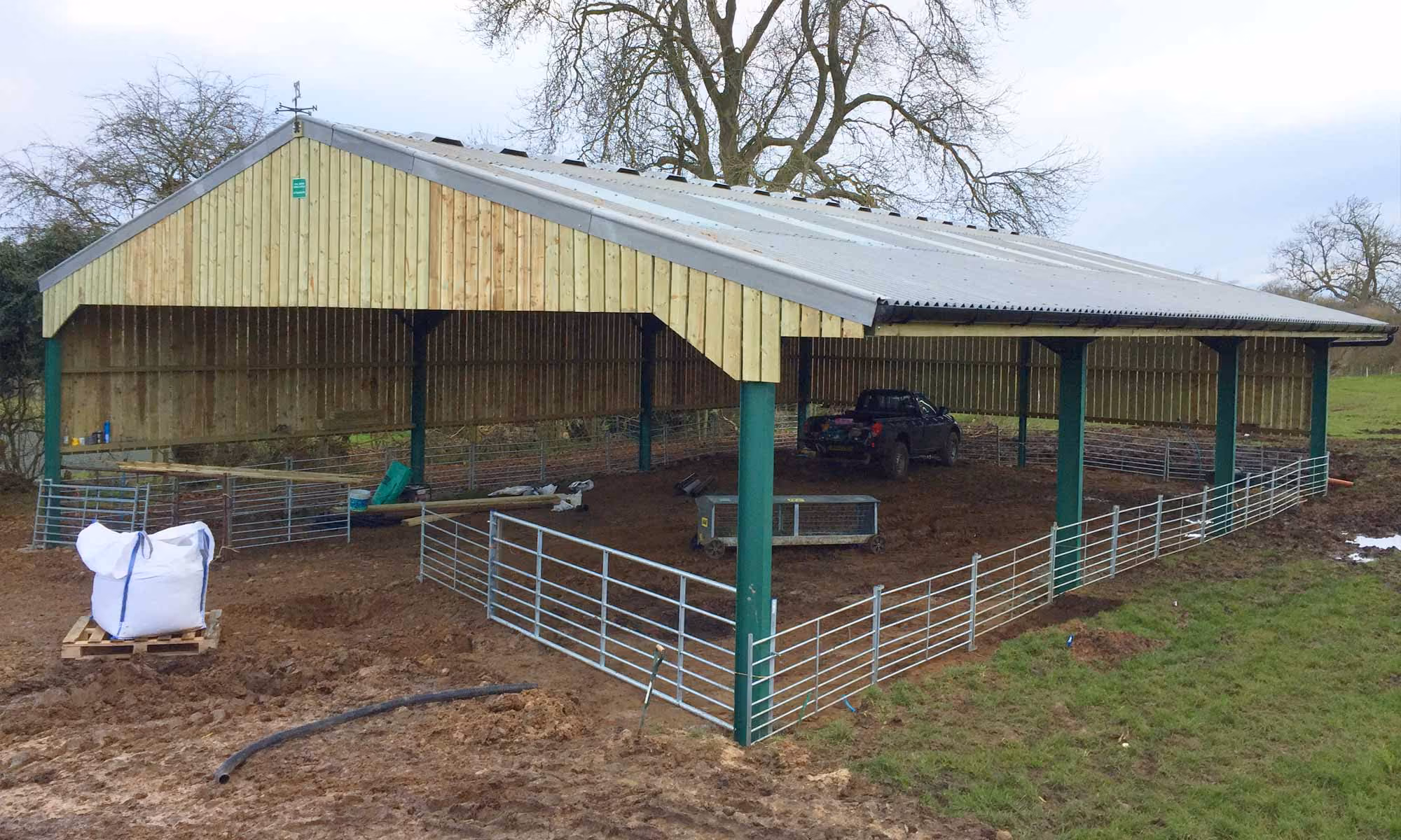 Steel framed storage shed